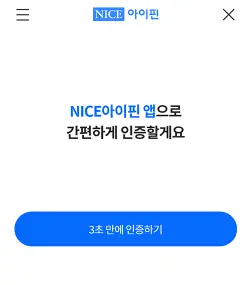 NICE 아이핀-1